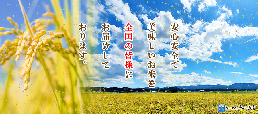 安心安全で美味しいお米を全国の皆様にお届けしております。