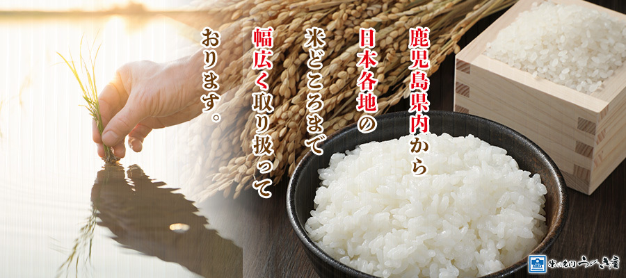 米の名門 うのき屋